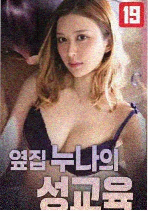 王昭君 剧集